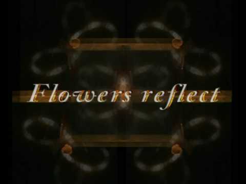 Cyrille Humen – Flowers Reflect