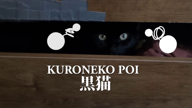 Cryptic Firecat – Kuroneko